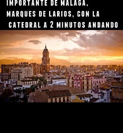 Apartment Marques De Larios 8 Centro Historico Especial Grupos Parking Gratis *